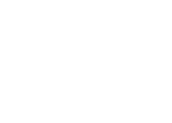 Steinbrenner Logo Wht